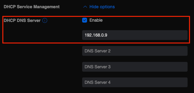 Screenshot of USG LAN DHCP settings